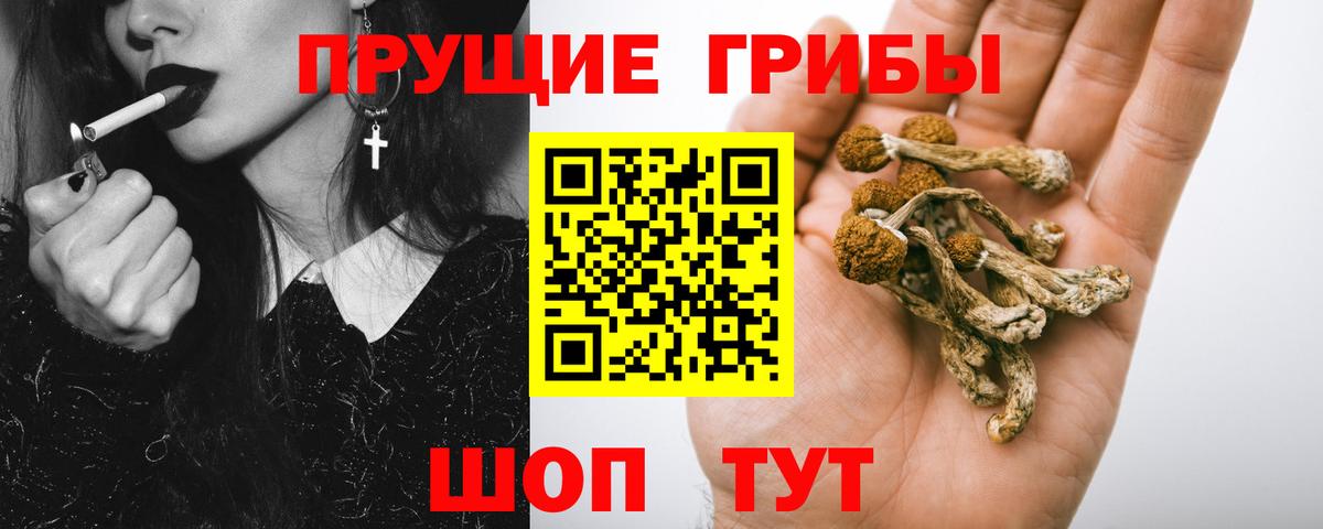 Галлюциногенные грибы GOLDEN TEACHER  Вход с VPN  Чапаевск 